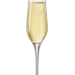 Champagnerglas Gastro