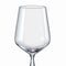 Bohemia Crystal Wasserglas Siesta 310 ml