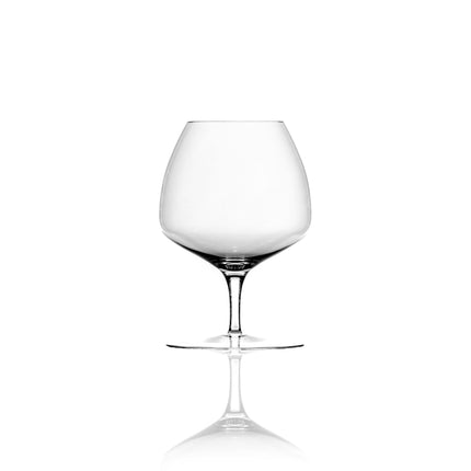 Kvetna 1794 Spirituosenglas Tarvos 400 ml (6er-Set)