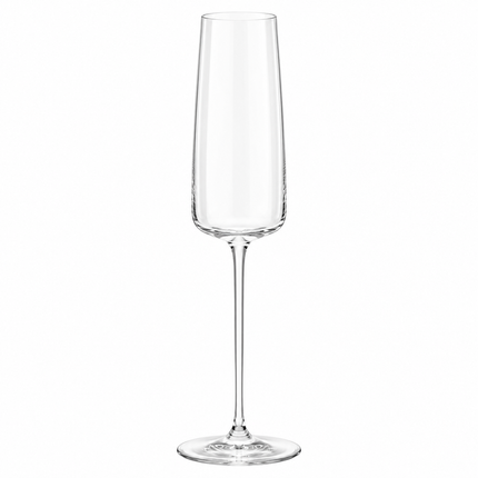 Dione Champagnerglas 320 ml – freigestelltes Produktfoto