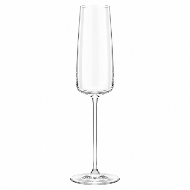 Dione Champagnerglas 320 ml – freigestelltes Produktfoto